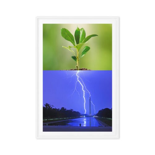 framed-canvas-in-white-24x36-front-6915d4aa0ae66.jpg Rooted in Thunder Framed Canvas (24"x36")