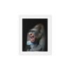 framed-canvas-in-white-8x10-front-691596d5c62bc.jpg Gorilla Gone Human Framed Canvas (8"x10")