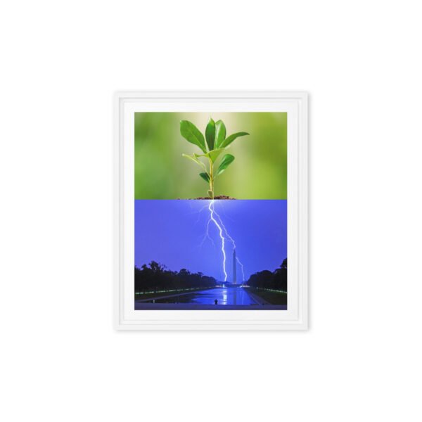 framed-canvas-in-white-8x10-front-6915cfa9432f9.jpg Rooted in Thunder Framed Canvas (8"x10")